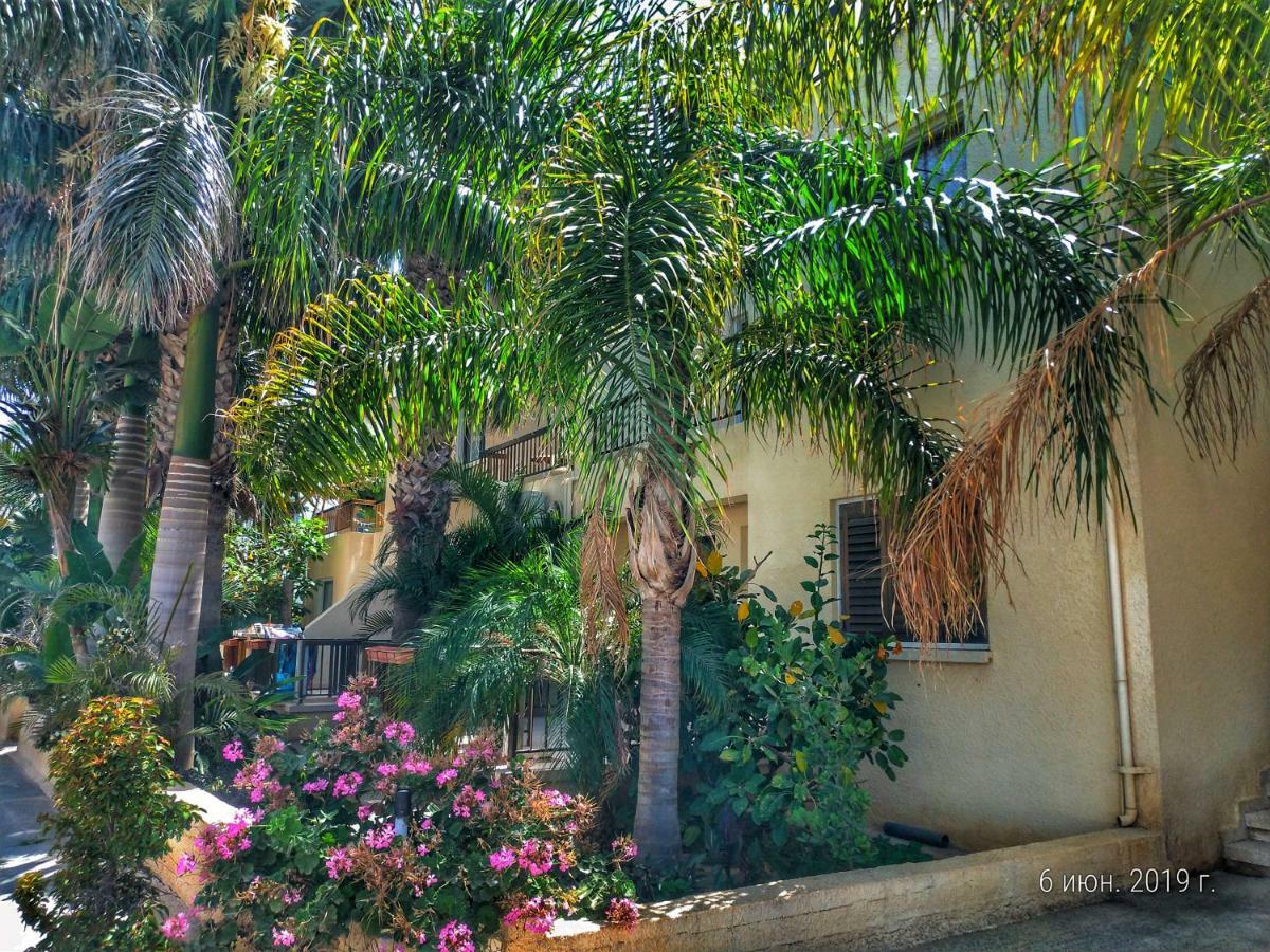 Constantaras Apartments プロタラス エクステリア 写真