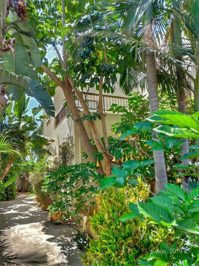 Constantaras Apartments プロタラス エクステリア 写真