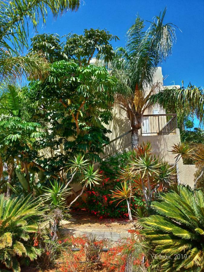 Constantaras Apartments プロタラス エクステリア 写真