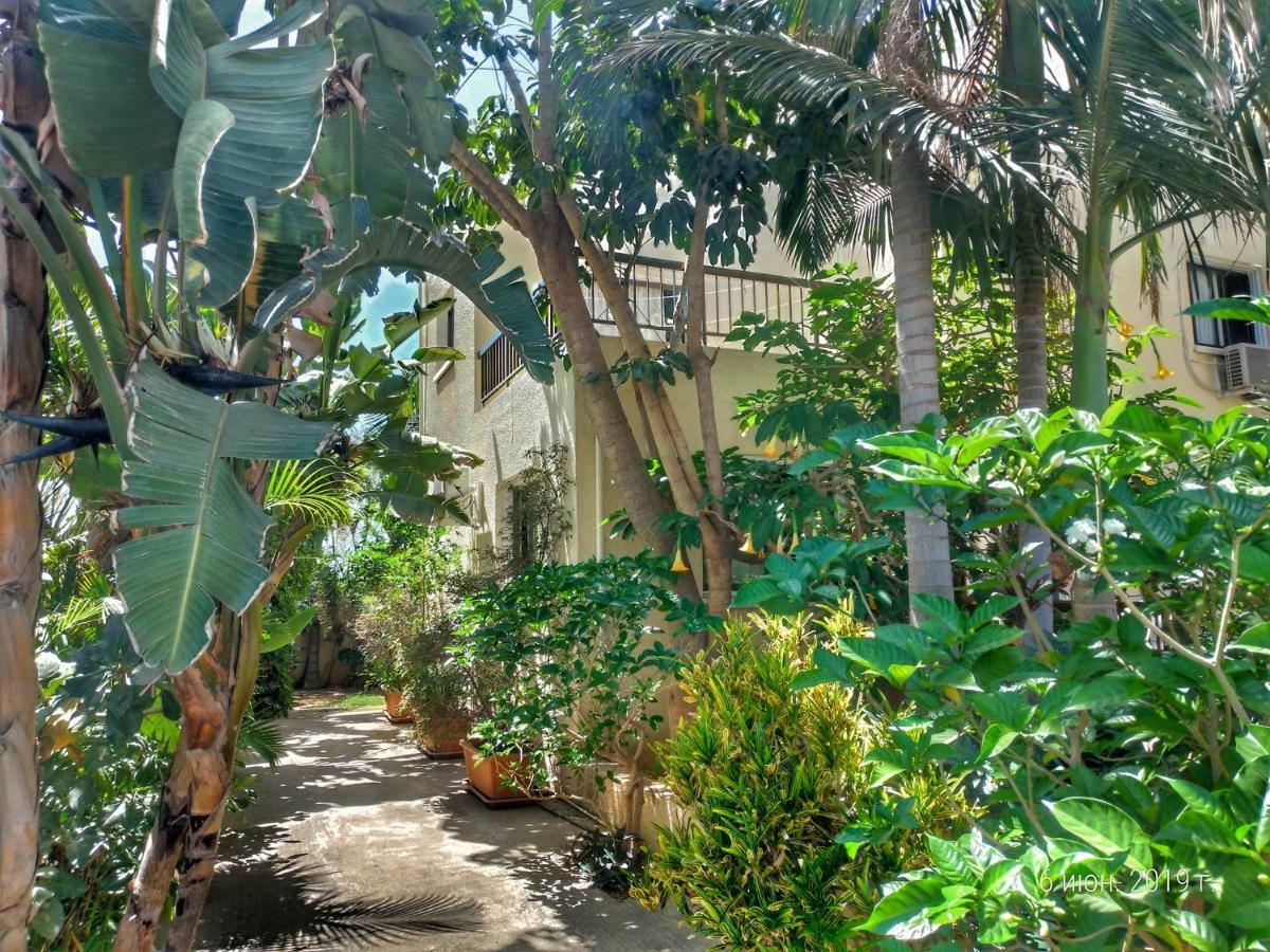 Constantaras Apartments プロタラス エクステリア 写真